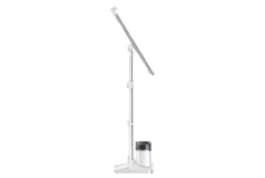 Rowenta IXEO Full Size Upright Steamer - Click for more details